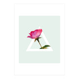 Rose (Print Only) thumbnail