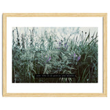 Photography - Summer Garden thumbnail