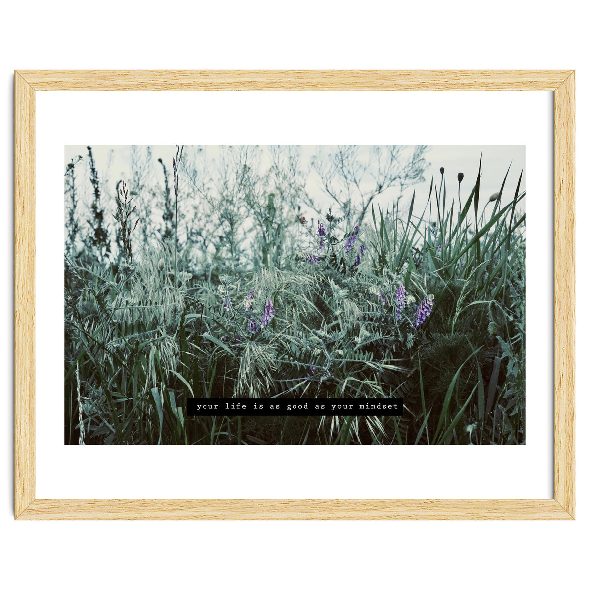 Photography - Summer Garden