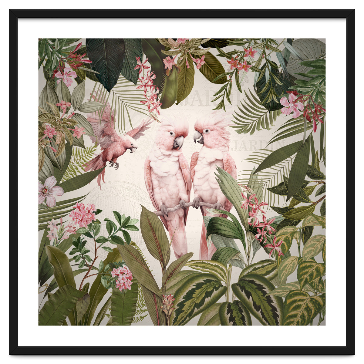 Pink Parrots Exotic Rainforest