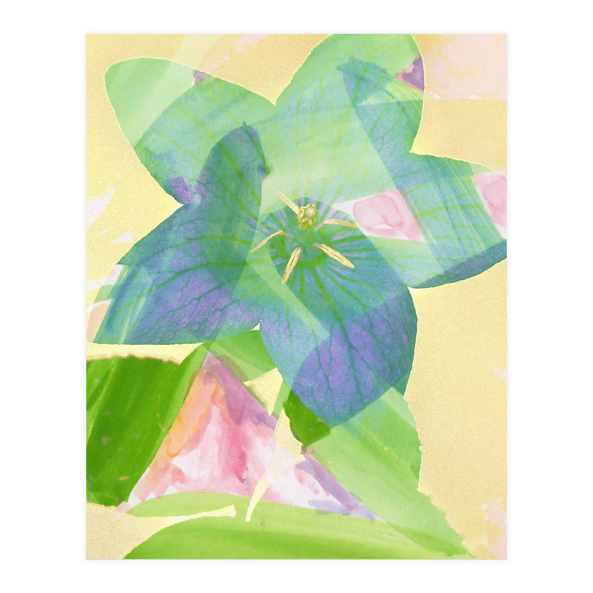 A Peaceful World (Print Only)