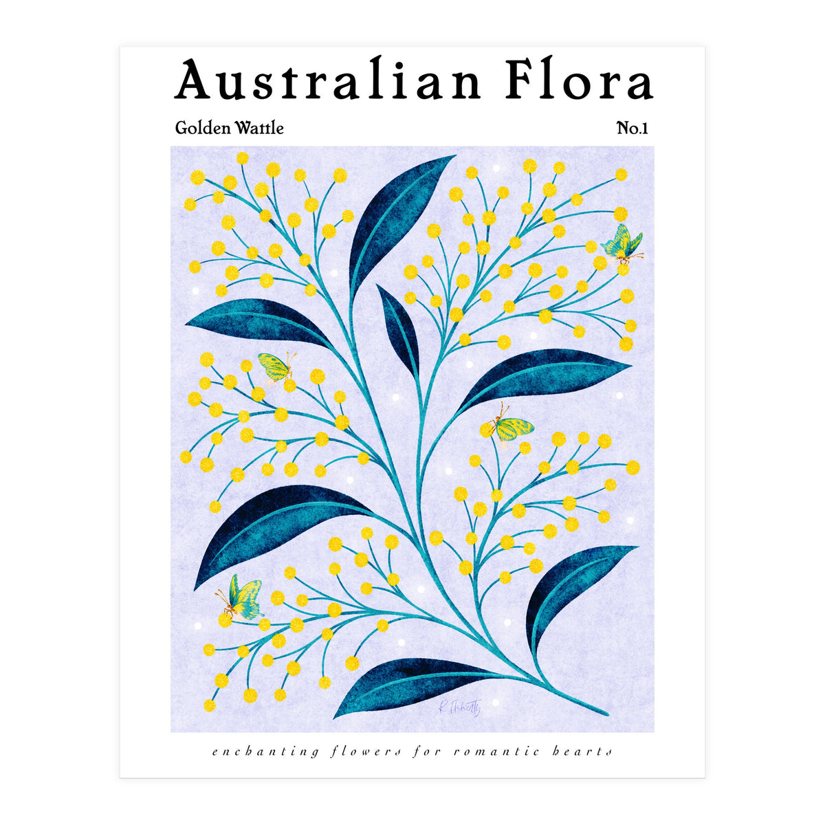 Australian Flora: Golden Wattle (Print Only)