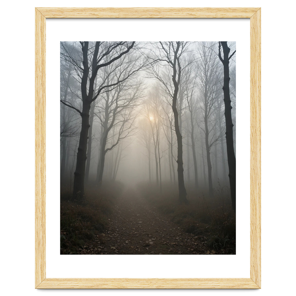 Ethereal Morning Light Breaking Through Dense Forest Fog