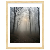 Ethereal Morning Light Breaking Through Dense Forest Fog