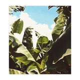 Silent Compilation (Print Only) thumbnail