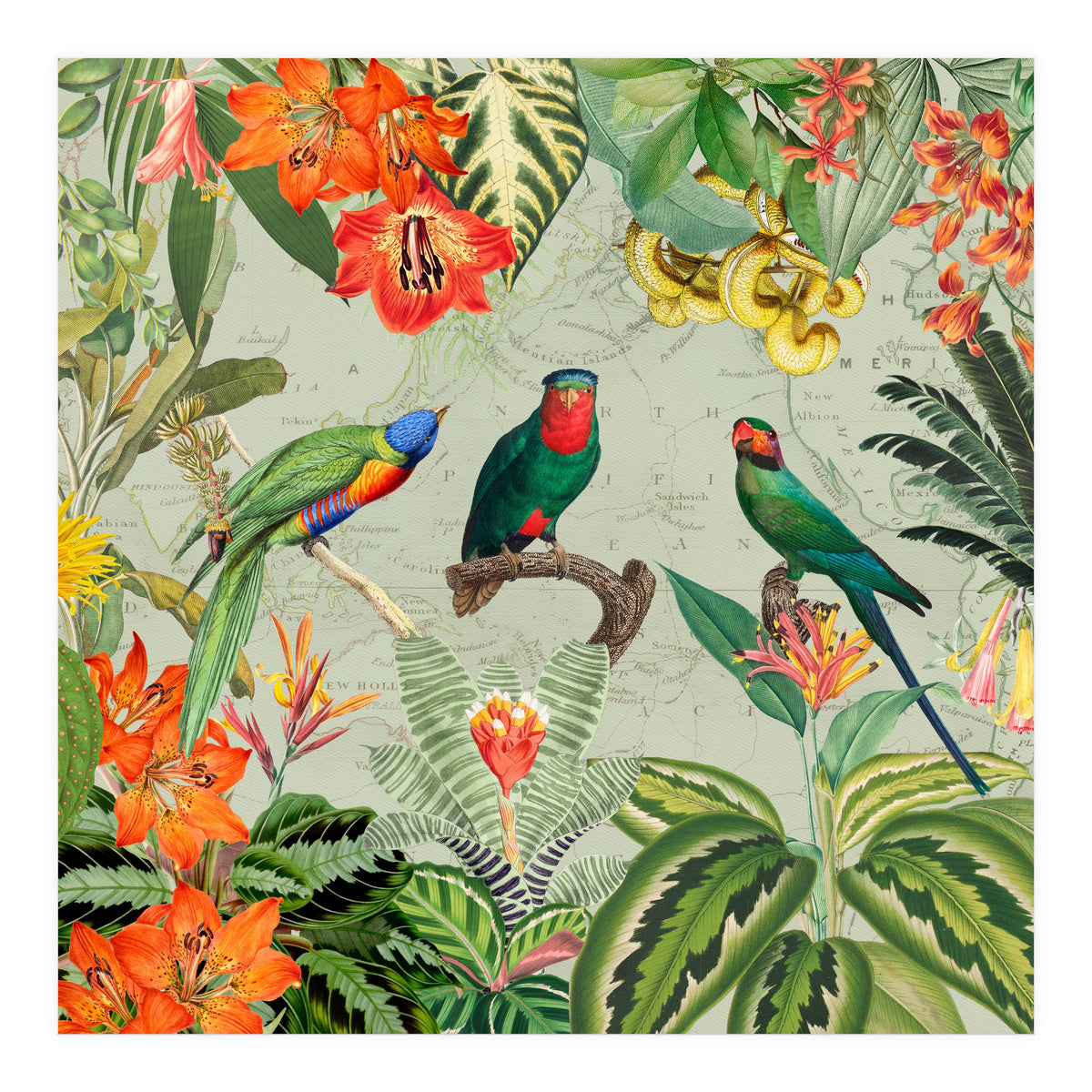 Exotic Parrots Jungle Landscape (Print Only)