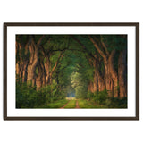 Soft morning light thumbnail