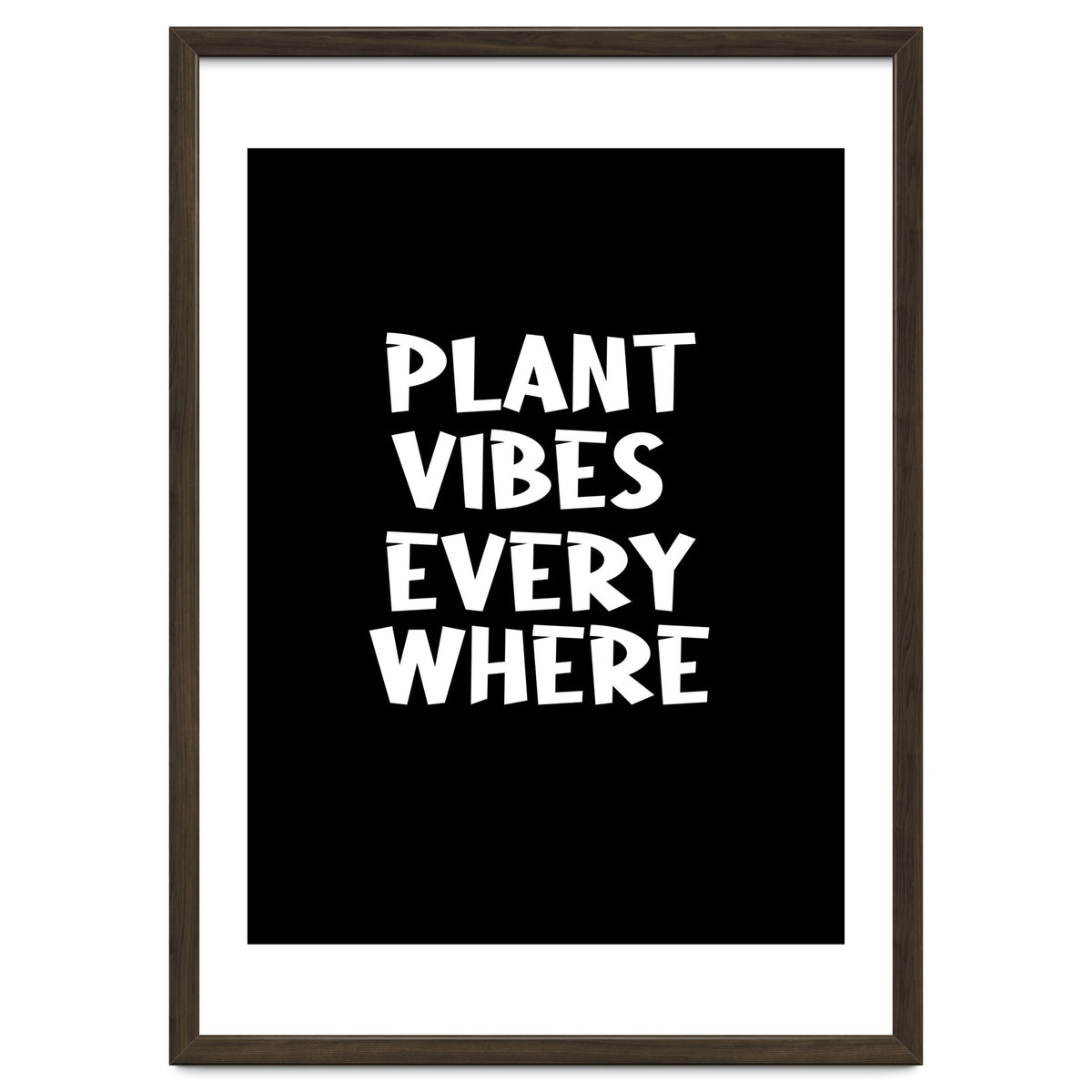 Plant vibes everywhere