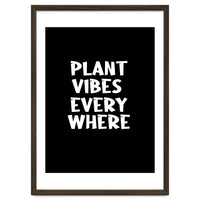 Plant vibes everywhere
