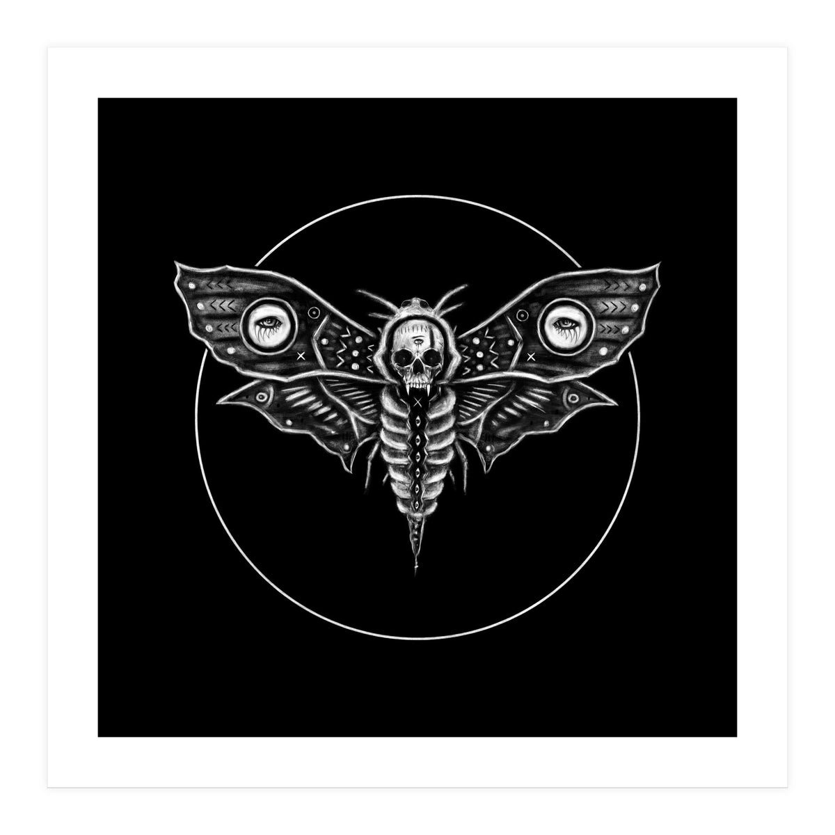 Deaths Head Moth (Print Only)