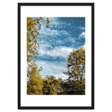 Autumn Evening thumbnail
