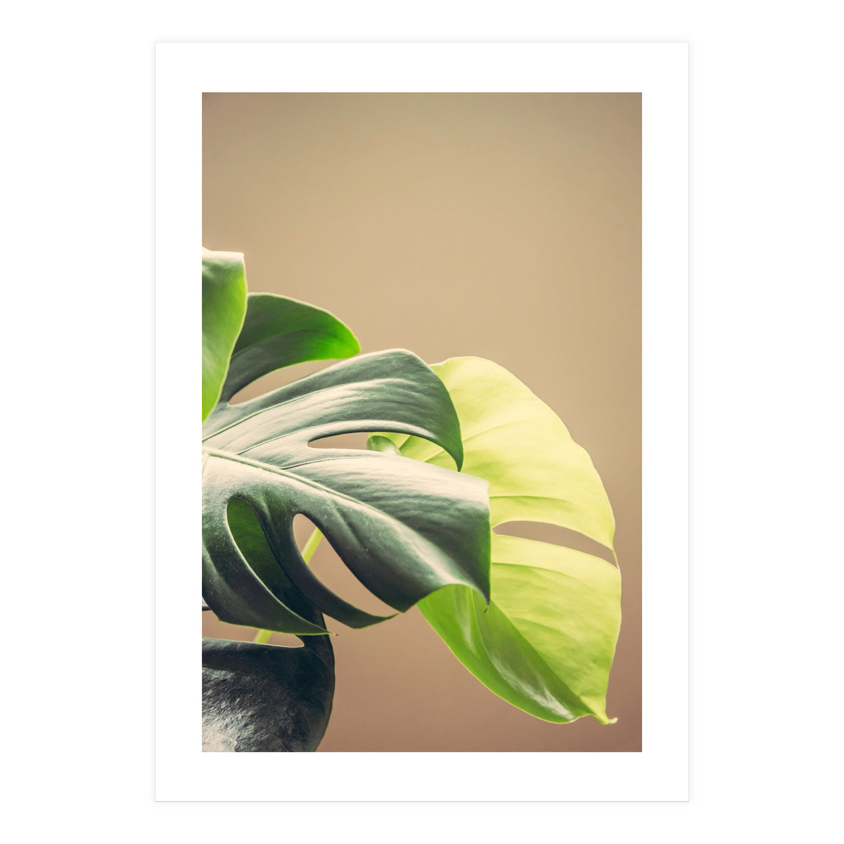 Dark And Light (Print Only)