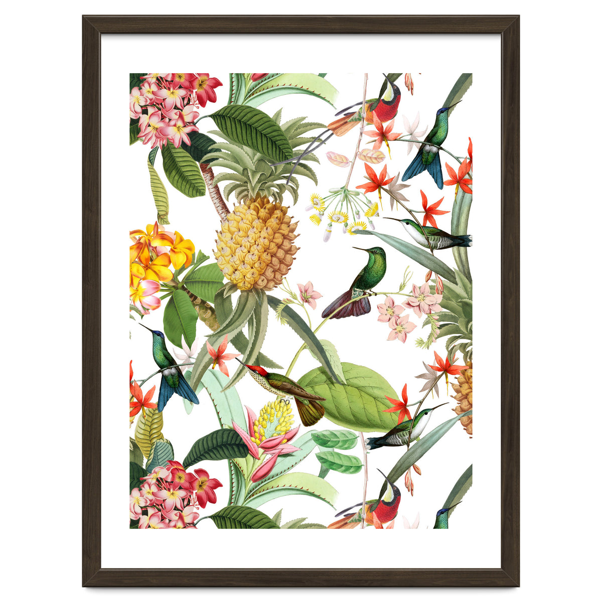 Hummingbirds in tropical Jungle