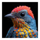 Close Up Of Colorful Bird With Water Droplets (Print Only) thumbnail