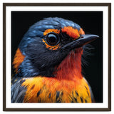 Vibrant Bird With Orange And Blue Plumage thumbnail