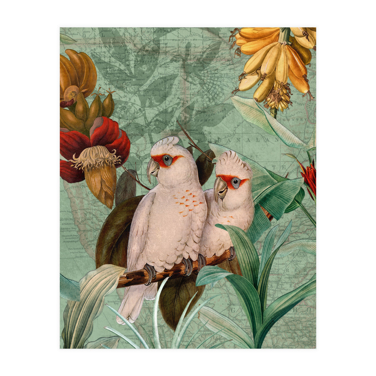 Green Cockatoo Exotic Bird Jungle  (Print Only)