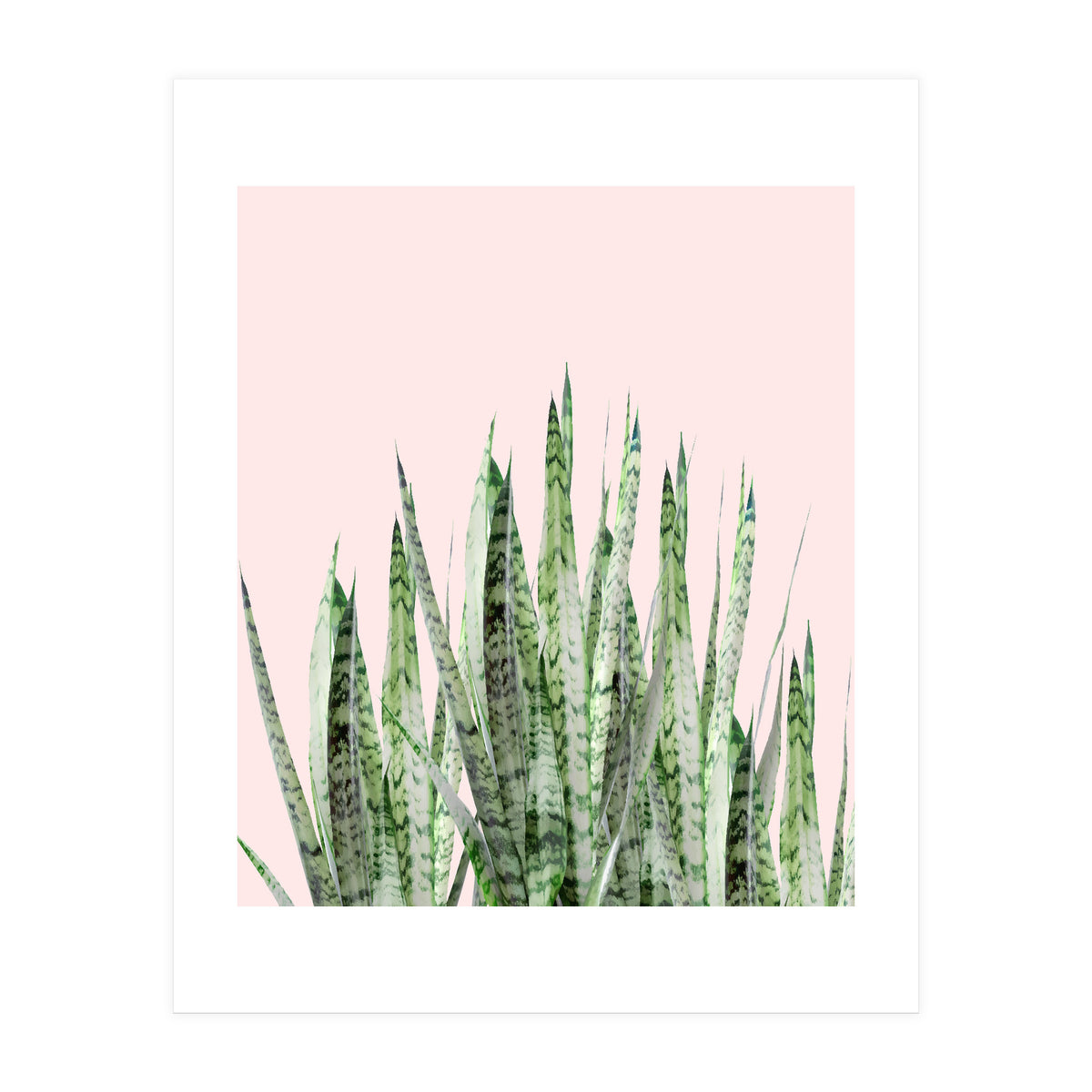 Botanical Balance (Print Only)