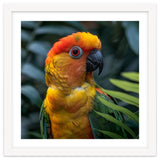 Close Up Of A Colorful Sun Conure Parrot thumbnail