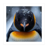 Close Up King Penguin In The Snow (Print Only) thumbnail