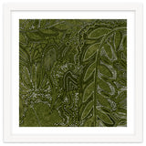 Forest Dense Foliage thumbnail