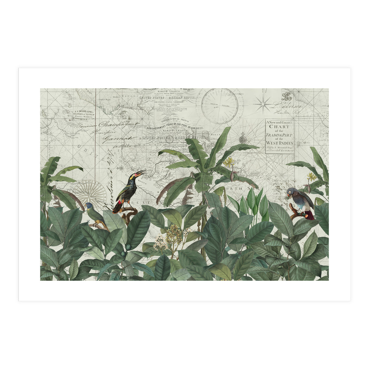 Explore The New World (Print Only)