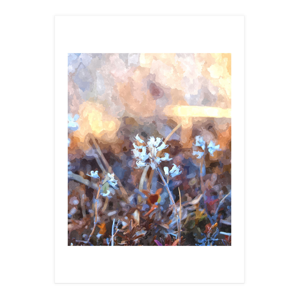 After The Rain (Print Only)