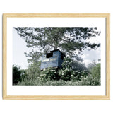 Blue hut on the tree thumbnail