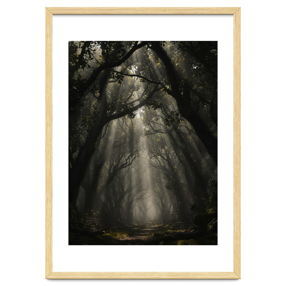 Enchanted Canopy: Mystical Forest Path