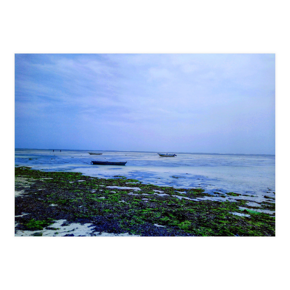 Ocean Beach At Low Tide (Print Only)