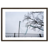 Net caught in a tree thumbnail