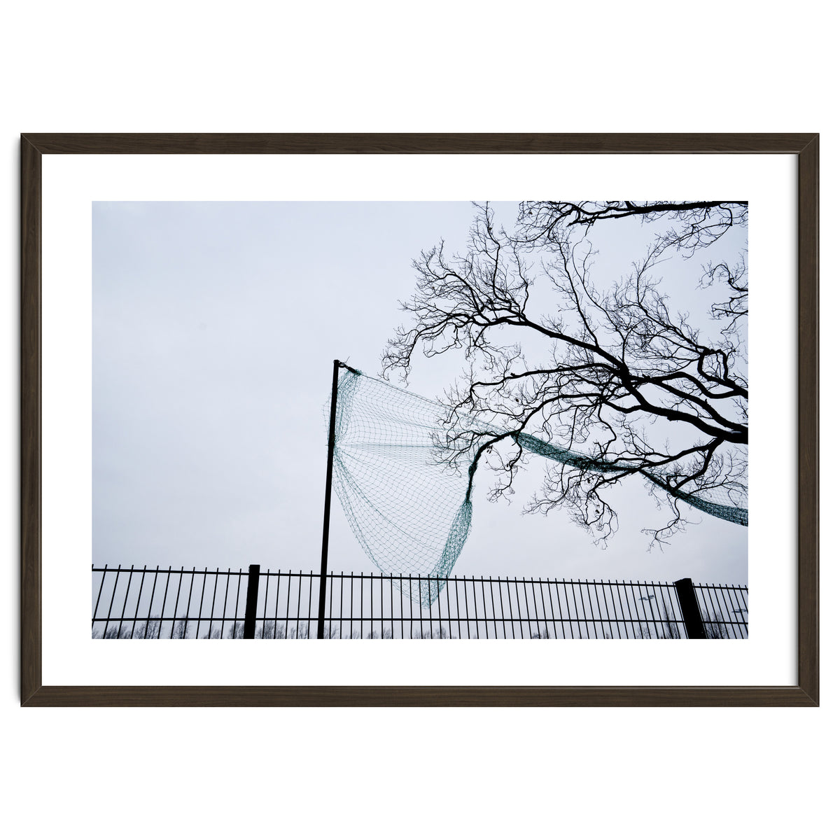 Net caught in a tree