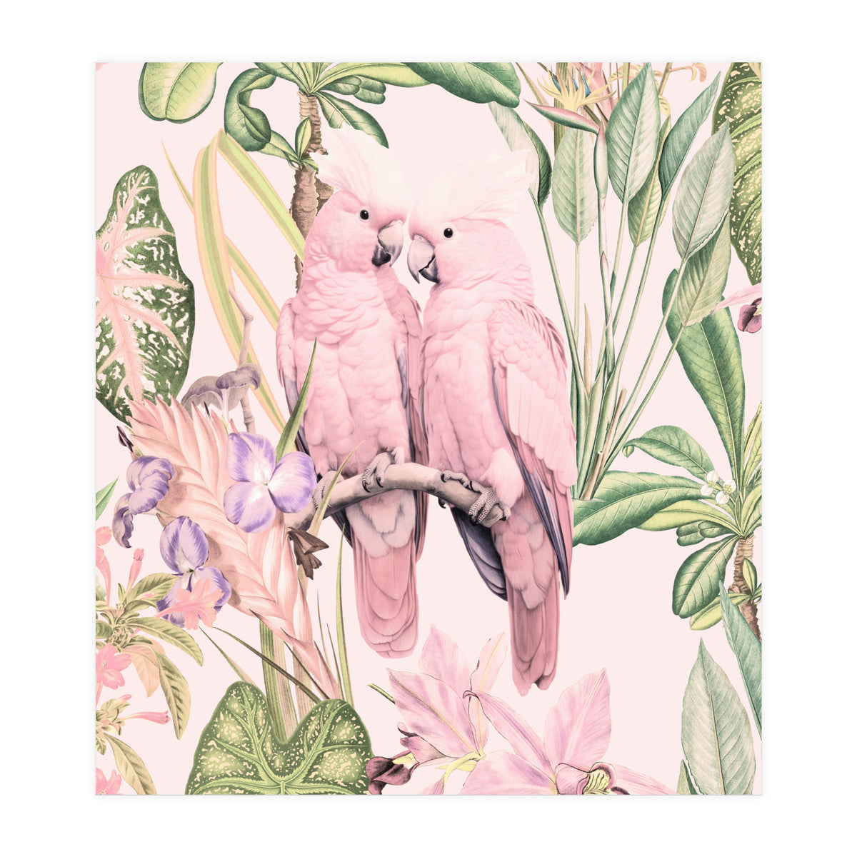 Pink Cockatoos in Love (Print Only)