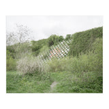 Green grass wall (Print Only) thumbnail