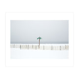 Fake palm tree in the winter snow beach (Print Only) thumbnail