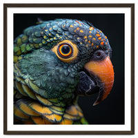 Close Up Of A Colorful Parrot's Face