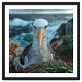 Black Browed Albatross Perched On Nest Near Ocean thumbnail