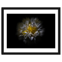 Backyard Flowers No 25 Color Flow Version