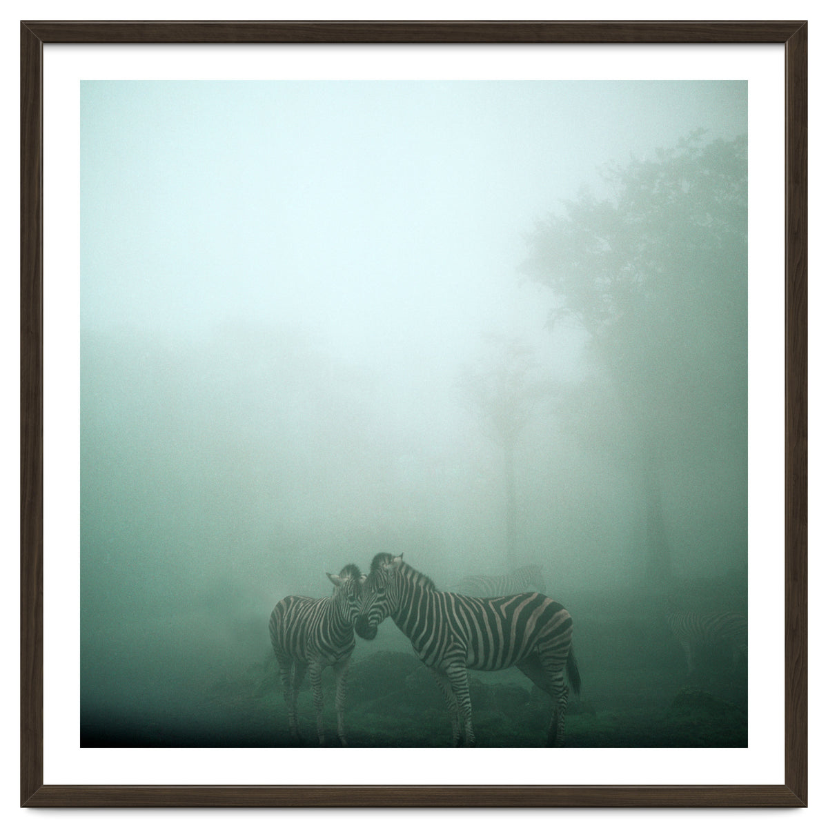 Silence of breath - 11