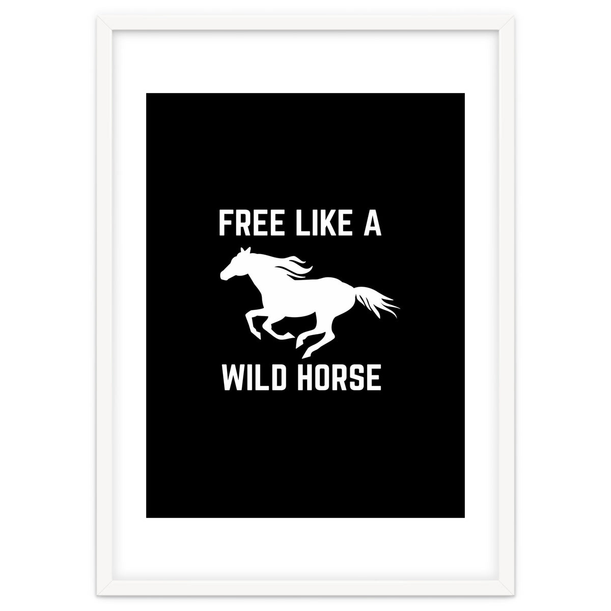 Free like a wild horse