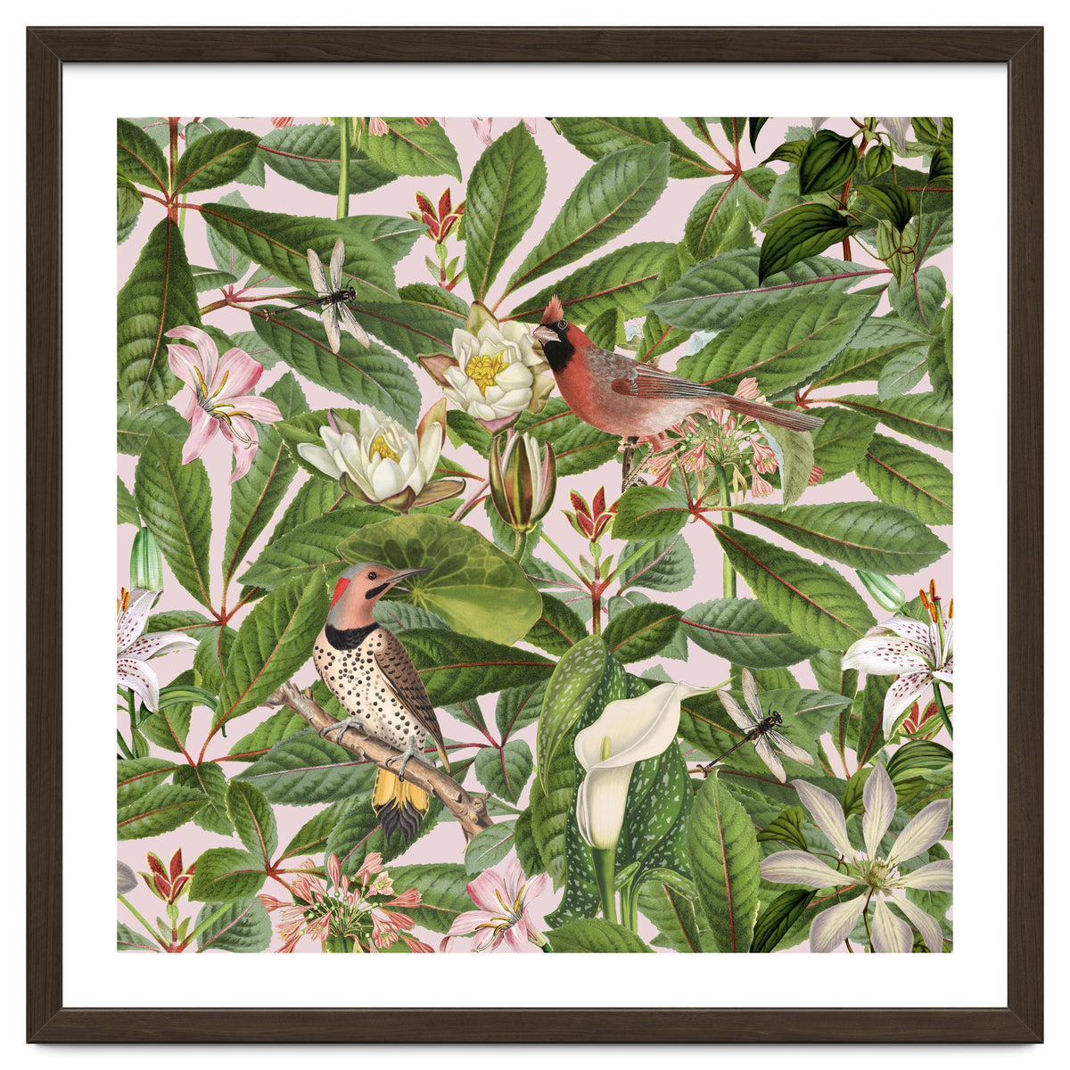 Tropical Bird Garden