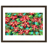 Red flowers thumbnail