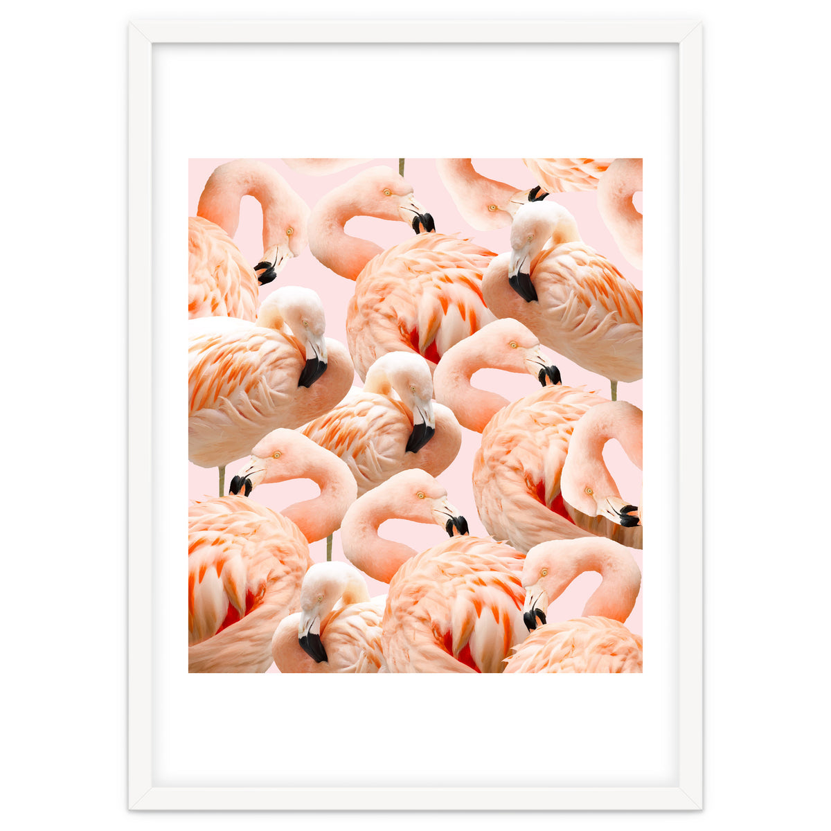 Flamingo Blush #society6 #decor #buyart #flamingoart