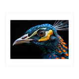 Close Up Of A Peacock Bird Head Eye (Print Only) thumbnail