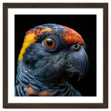 Close Up Of A Colorful Parrot Bird's Head thumbnail
