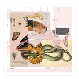 Abstract White Daydream Flower (Print Only) thumbnail