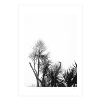 Miminalist Palm (Print Only)