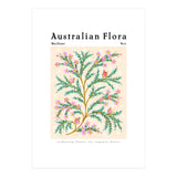 Australian Flora: Wax Flower (Print Only) thumbnail