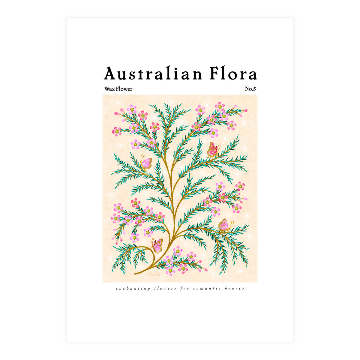 Australian Flora: Wax Flower (Print Only)