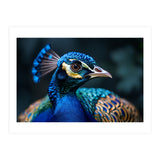 Peacock Head Close Up Majestic Blue Bird (Print Only) thumbnail