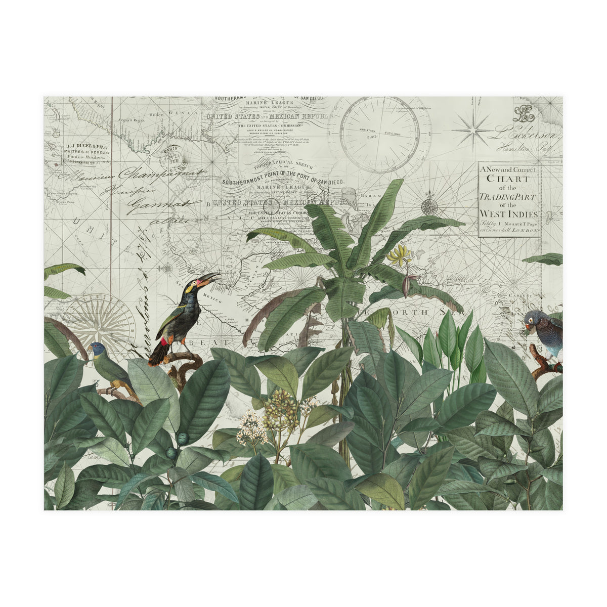 Explore The New World (Print Only)